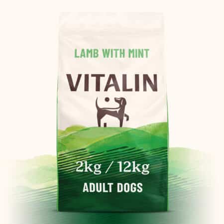 Lamb with Mint