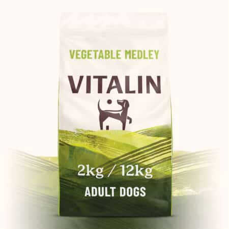 Vegetable Medley