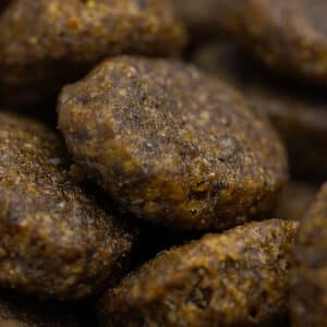 Lamb with Mint – Small Breed kibble close up